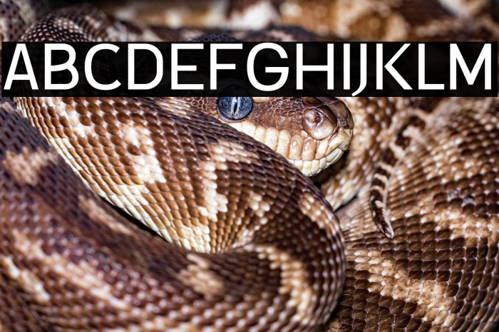 Mulheim Personal Used Example 3