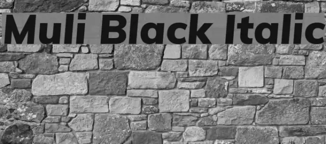 Muli Black Italic Schriftart examples