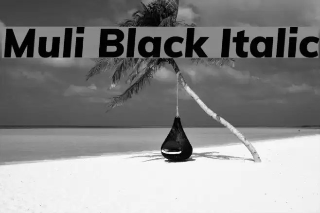 Muli Black Italic Schriftart examples