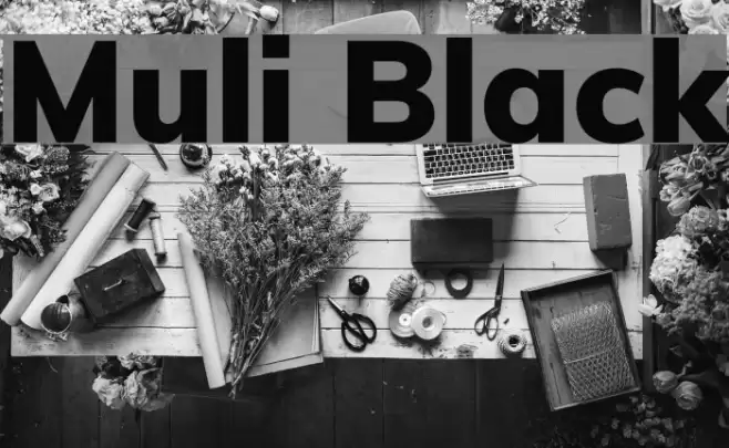 Muli Black Font examples