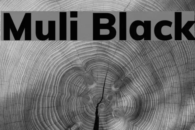 Muli Black Font examples