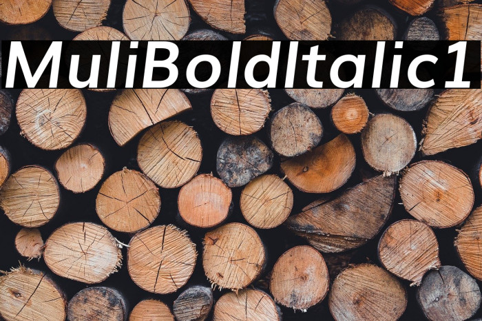 Muli Bold Italic1 Example 2