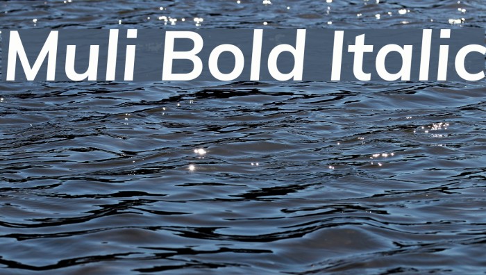 Muli Bold Italic Font examples