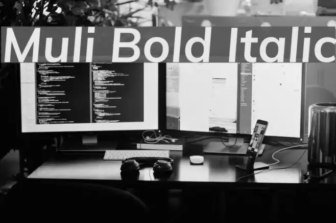 Muli Bold Italic Font examples