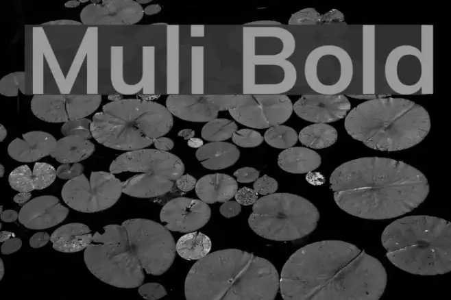 Muli Bold Example 1