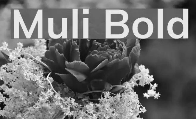 Muli Bold Example 3