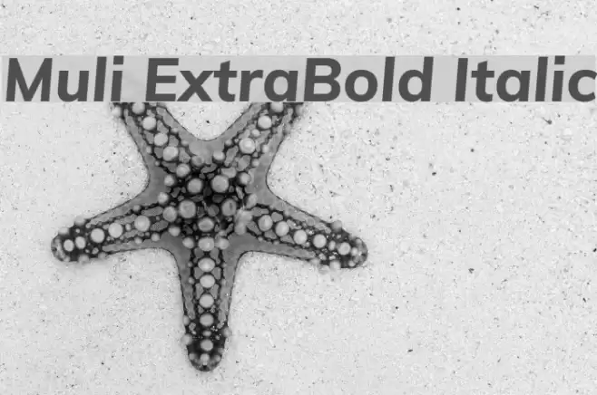 Muli ExtraBold Italic Font examples