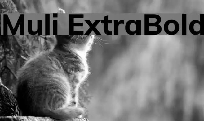 Muli ExtraBold フォント examples