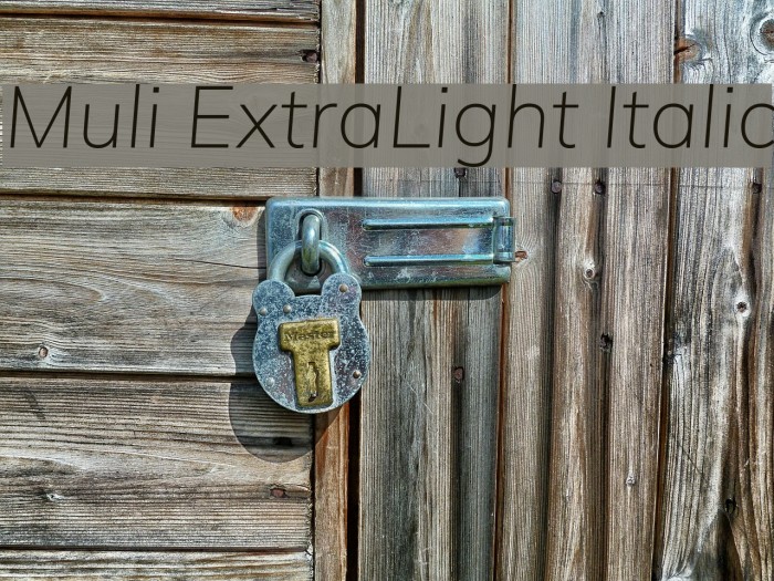 Muli ExtraLight Italic Font examples