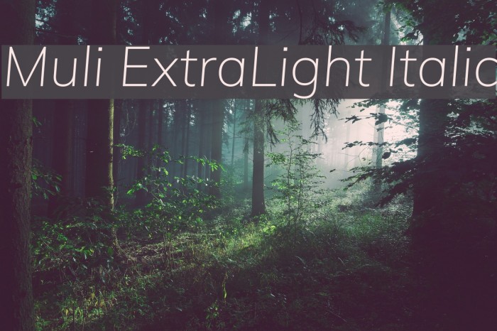 Muli ExtraLight Italic Font examples
