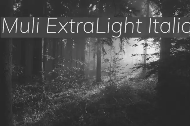 Muli ExtraLight Italic Example 2