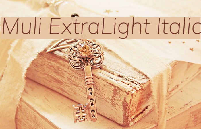 Muli ExtraLight Italic Font examples