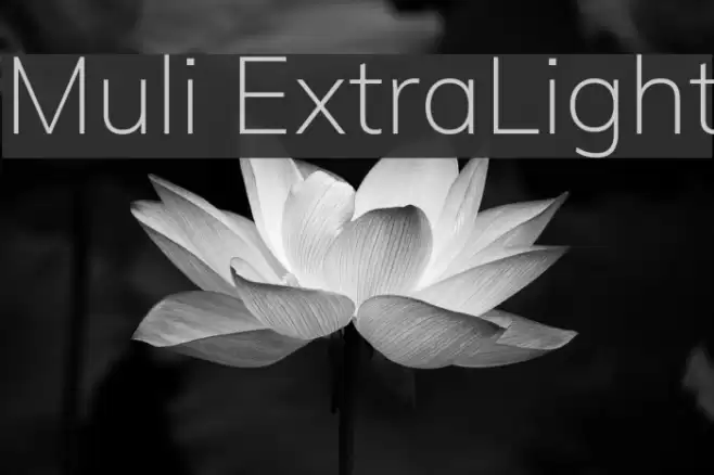 Muli ExtraLight examples