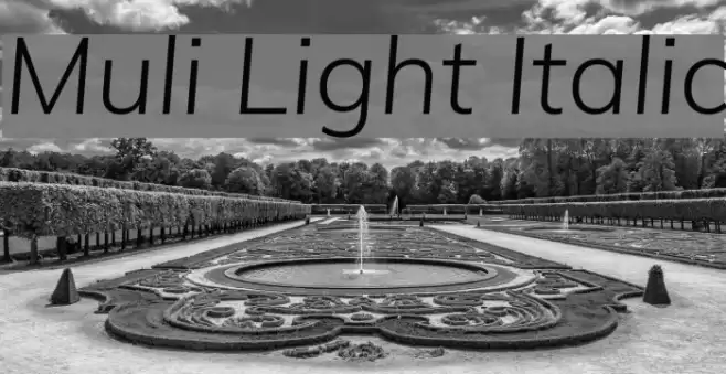 Muli Light Italic Font examples