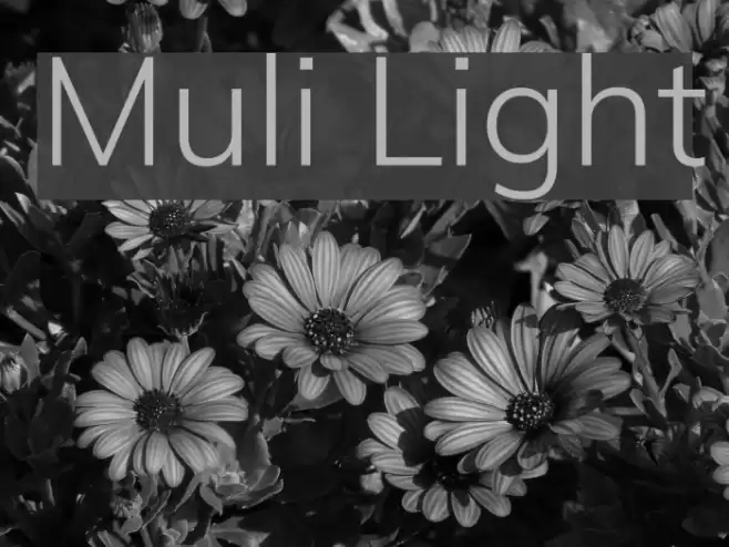 Muli Light Font examples