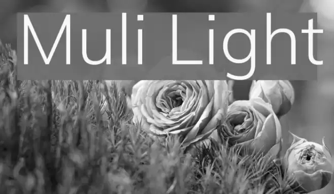 Muli Light Font examples