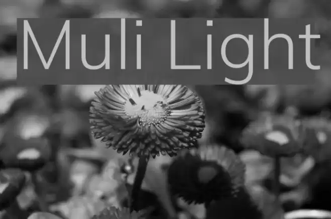 Muli Light Font examples