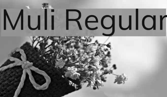 Muli Regular Шрифта examples