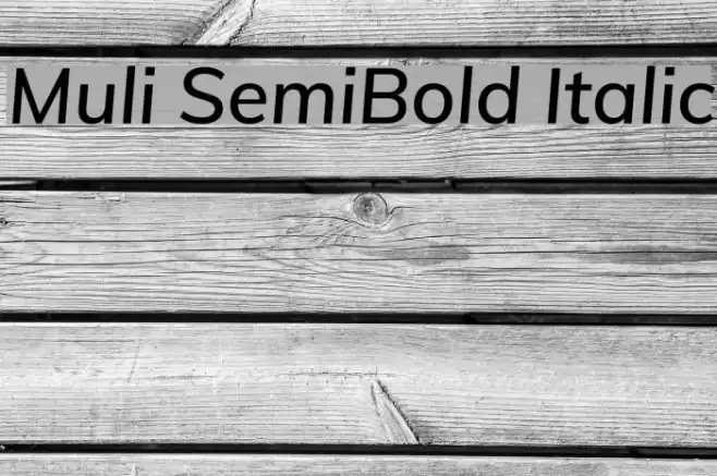 Muli SemiBold Italic Font examples
