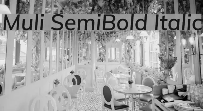 Muli SemiBold Italic Font examples