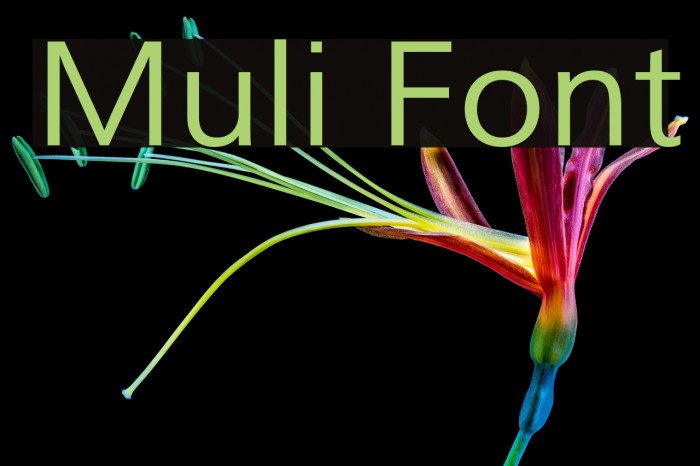 Muli Font examples