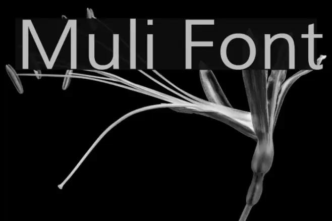 Muli Caratteri examples