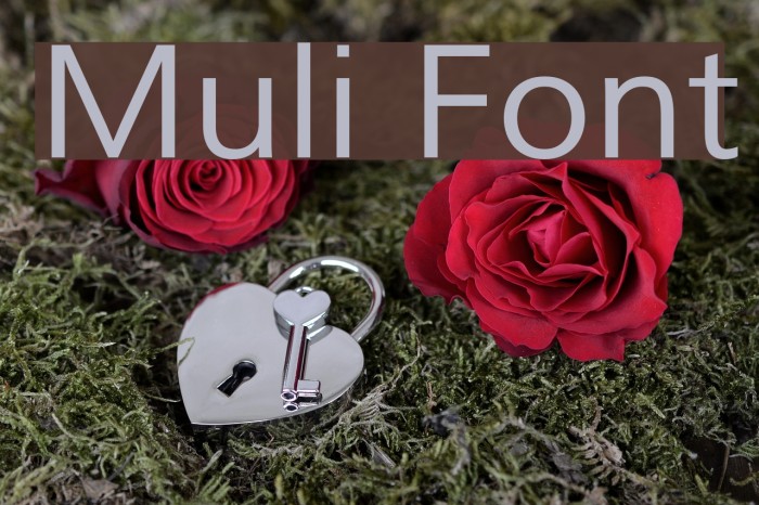 Muli Font examples