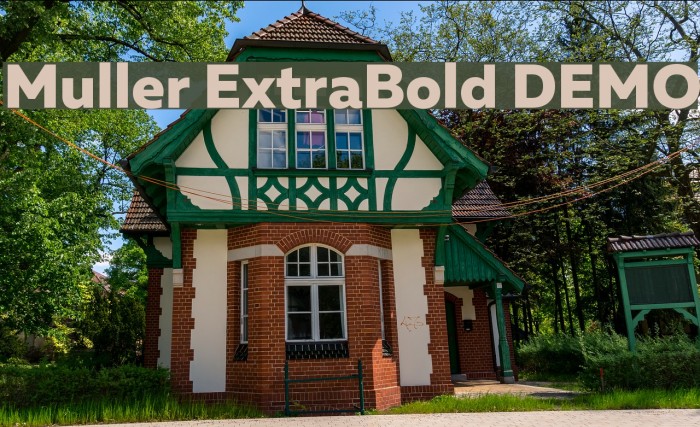 Muller ExtraBold DEMO Font examples