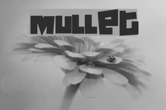 Mullet フォント examples