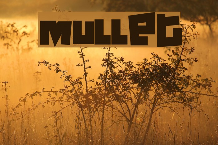 Mullet Font examples