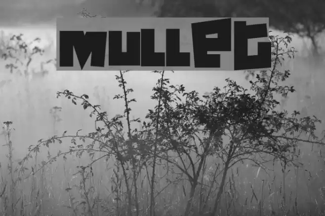 Mullet フォント examples