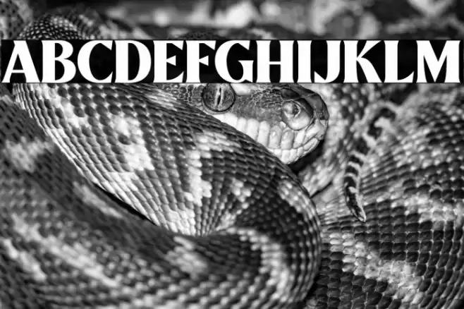 Mullingar Font examples