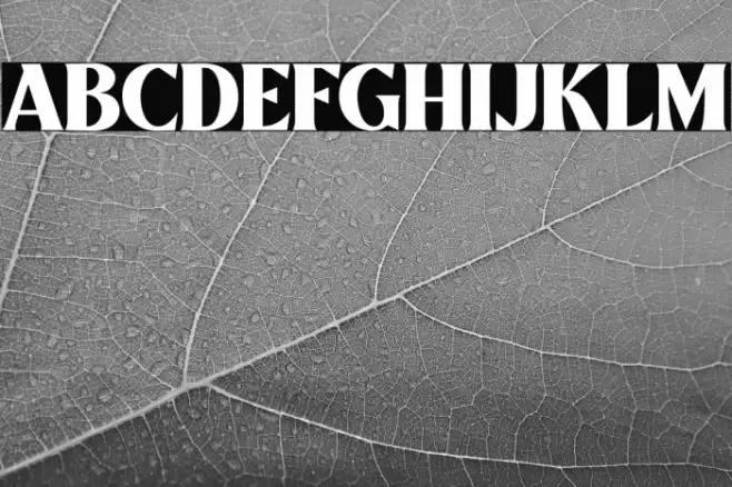 Mullingar Font examples