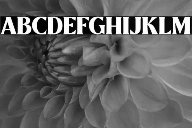 Mullingar Font examples