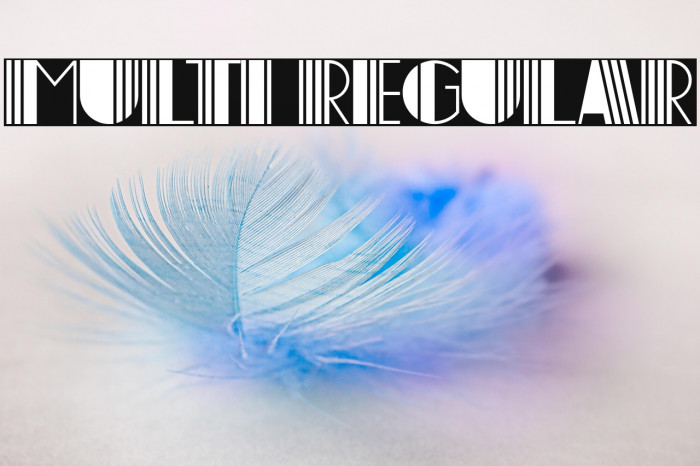 Multi Regular Example 1