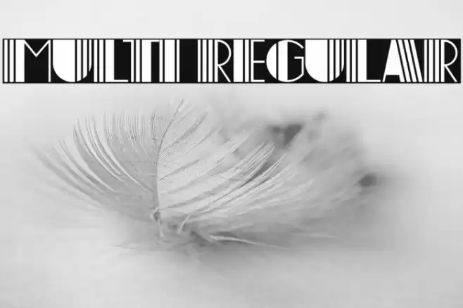 Multi Regular Font examples