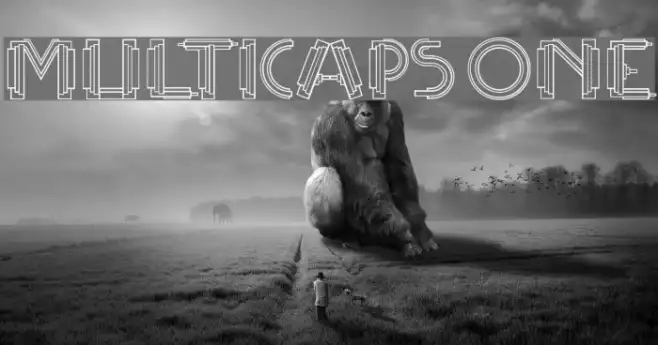 MultiCapsOne Example 1