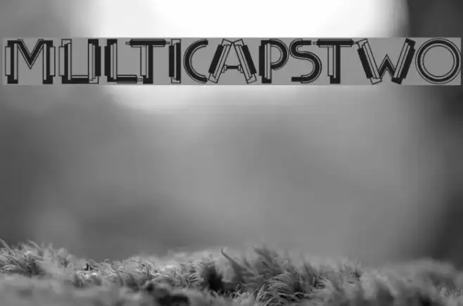 MultiCapsTwo Example 2