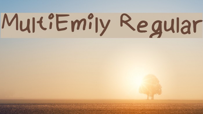 MultiEmily Regular Example 2