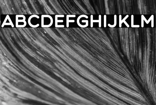 Multicolore Pro Font examples