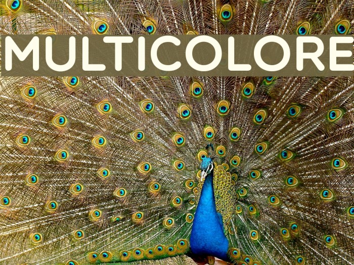Multicolore Font examples