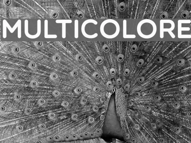 Multicolore Fonte examples