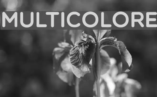 Multicolore Fonte examples