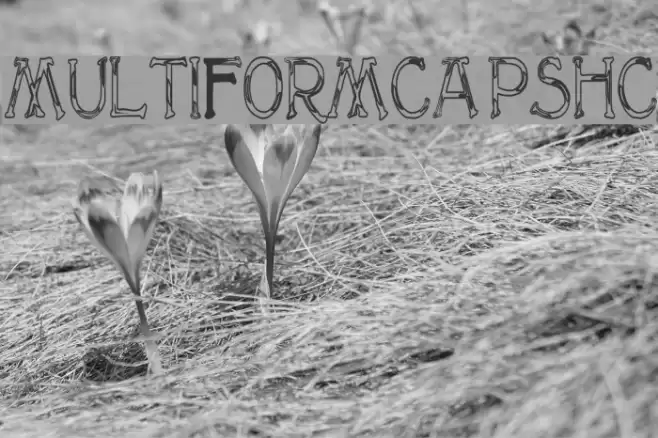 MultiformCapsHC Schriftart examples