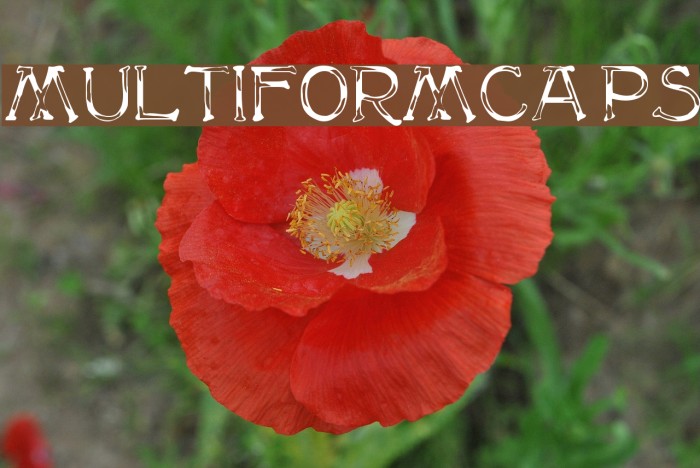 MultiformCaps Font examples