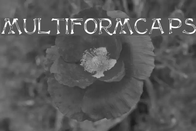 MultiformCaps フォント examples