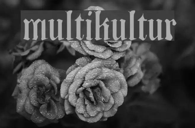 Multikultur Font examples