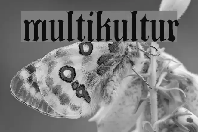 Multikultur Font examples