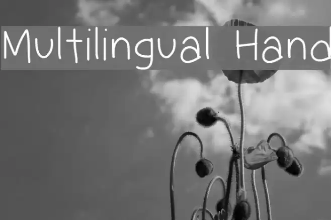 Multilingual Hand Font examples