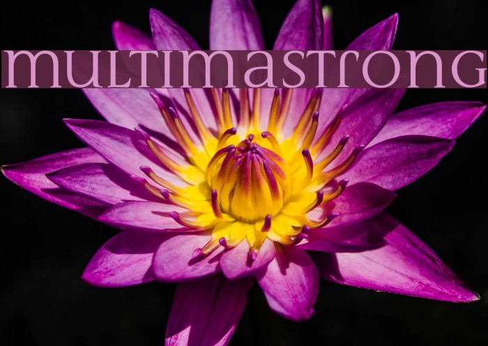 MultimaStrong Font examples